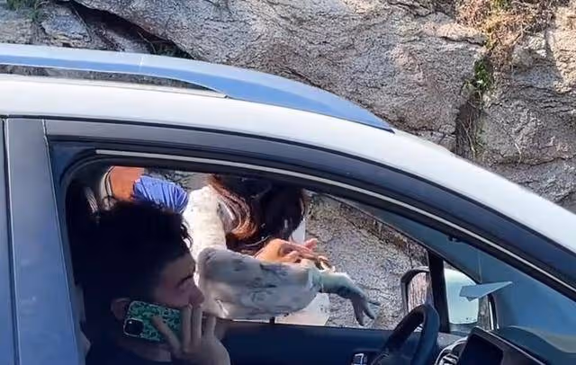 難服氣!路虎女司機打人被拘後,王副主任被牽連,被打人拒絕和解
