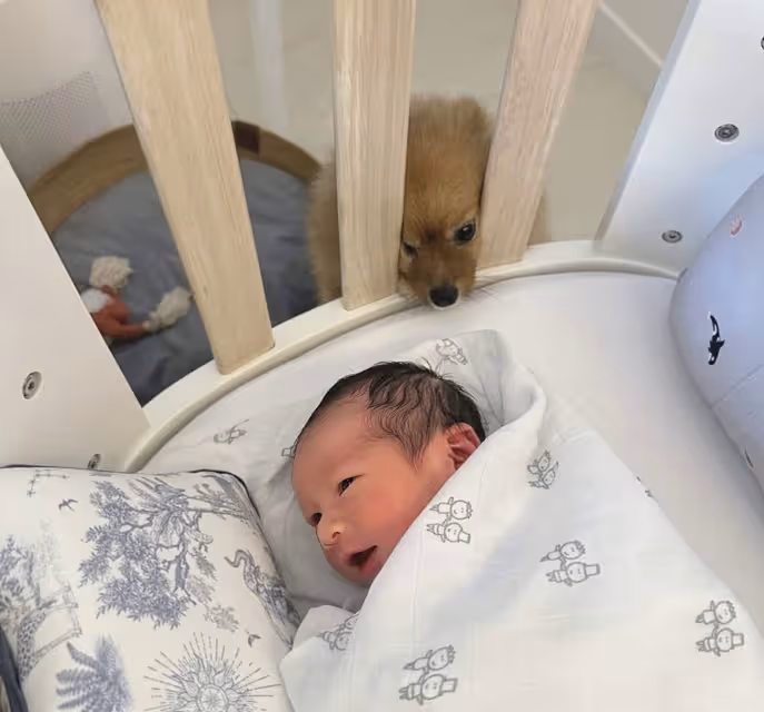 恭喜!香港女星結婚不到半年火速生子,與圈外老公未婚先孕
