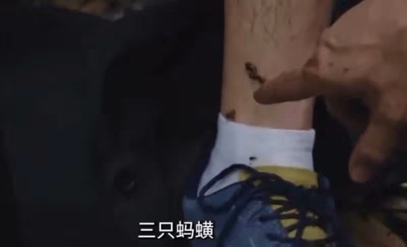 王一博熱帶雨林探險記:螞蟥三連咬,驚險又搞笑!