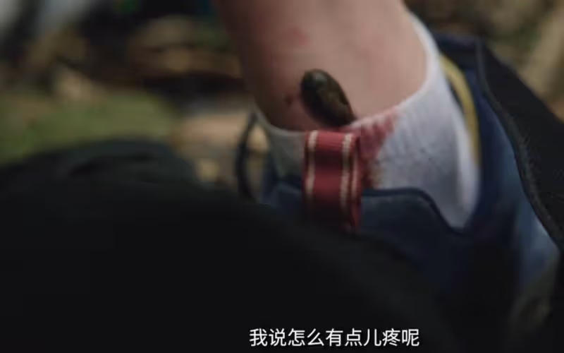王一博熱帶雨林探險記:螞蟥三連咬,驚險又搞笑!