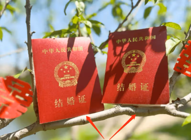 張豆豆曬工作照,穿粉粉嫩嫩美到窒息,孫楊你是懂怎麼娶老婆的!