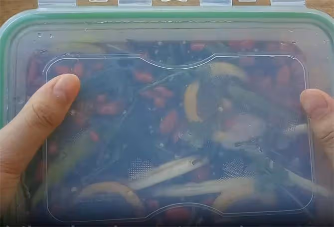 教你調製正宗的撈汁什錦,詳細告訴你用料和比例,看一遍就能學會