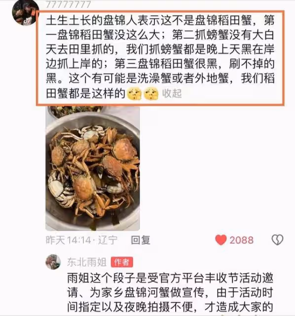 千萬網紅東北雨姐又塌房?白天在稻田抓盤錦蟹疑造假,相關視頻已下架