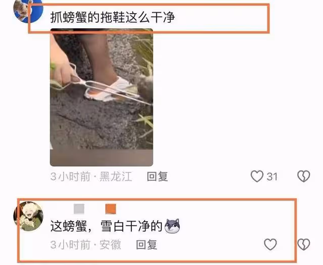 千萬網紅東北雨姐又塌房?白天在稻田抓盤錦蟹疑造假,相關視頻已下架