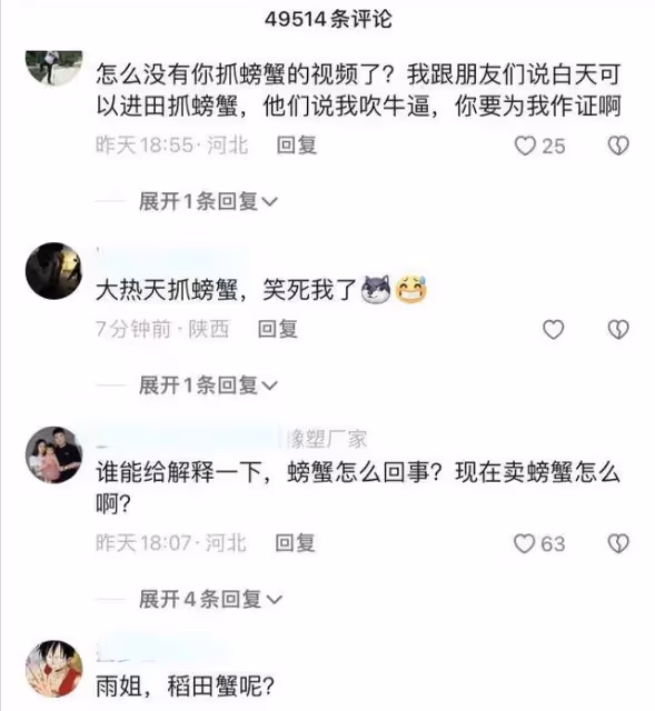 千萬網紅東北雨姐又塌房?白天在稻田抓盤錦蟹疑造假,相關視頻已下架
