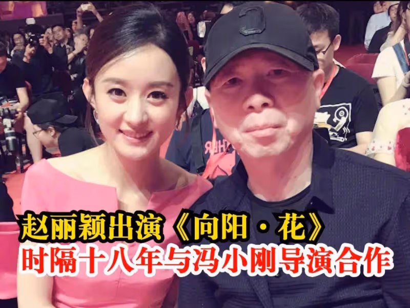 肖戰甄子丹吳京趙麗穎的重磅新片曝光!各大影業盈虧多少