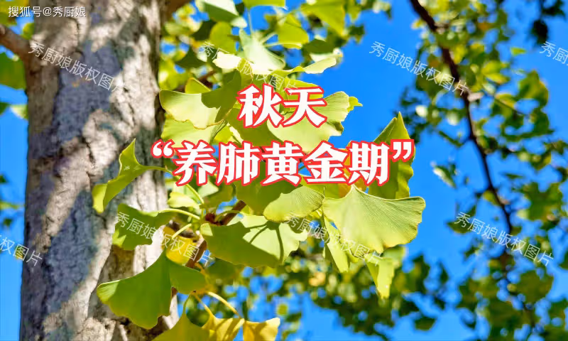 立秋後是「養肺黃金期」！建議多多吃這4種菜，好處多得很！