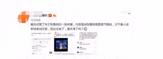 這一次,36歲靠美貌翻身的張嘉倪,徹底撕開了前任買超的尷尬處境