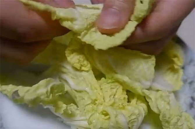 不加一滴油的白菜丸子煲,做法簡單,比關東煮味道還好,太過癮了