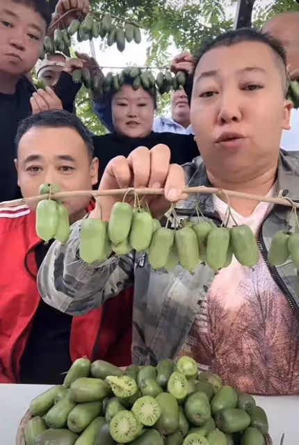 千萬粉絲網紅東北雨姐直播帶貨！在線人氣破10萬，軟棗賣斷貨