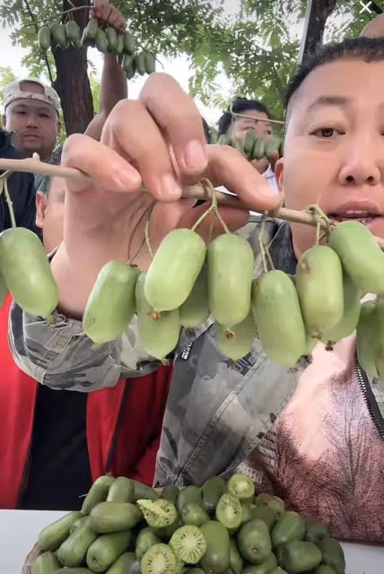 千萬粉絲網紅東北雨姐直播帶貨！在線人氣破10萬，軟棗賣斷貨