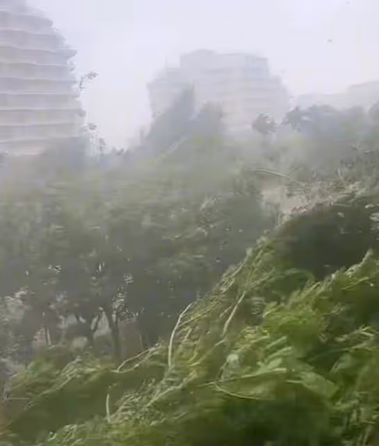 颱風摩羯登陸海南文昌,暴雨下到天地間白茫茫一片!