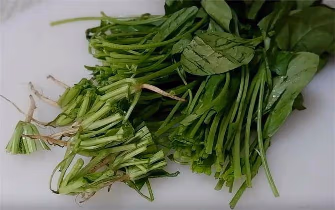 這道涼拌菜要收藏了,菠菜拌金針菇,鮮香辣,這個涼拌料才是關鍵