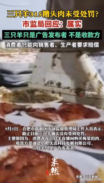 合肥回應三隻羊315糟頭肉未受處罰，真相揭秘！