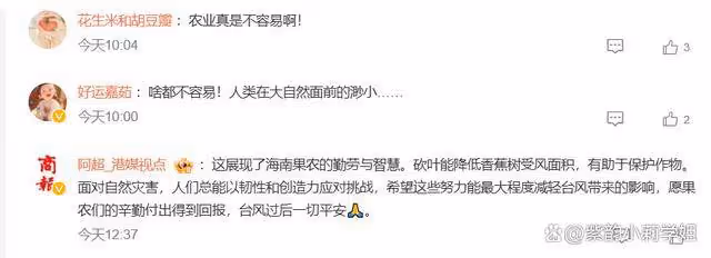 全海南人都在努力砍香蕉葉，網友祈禱：颱風手下留情啊！