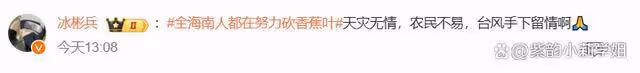 全海南人都在努力砍香蕉葉，網友祈禱：颱風手下留情啊！