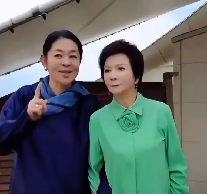 當65歲倪萍和51歲劉曉慶同框,醫美臉對比下,才知自然老去有多美