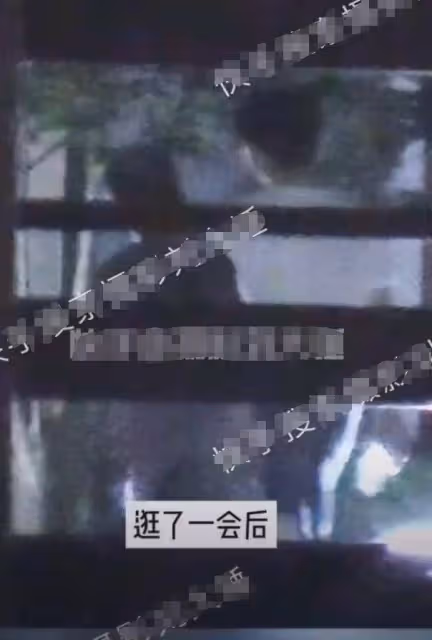 張新成李蘭迪戀情曝光,二人深夜逛完公園共回愛巢