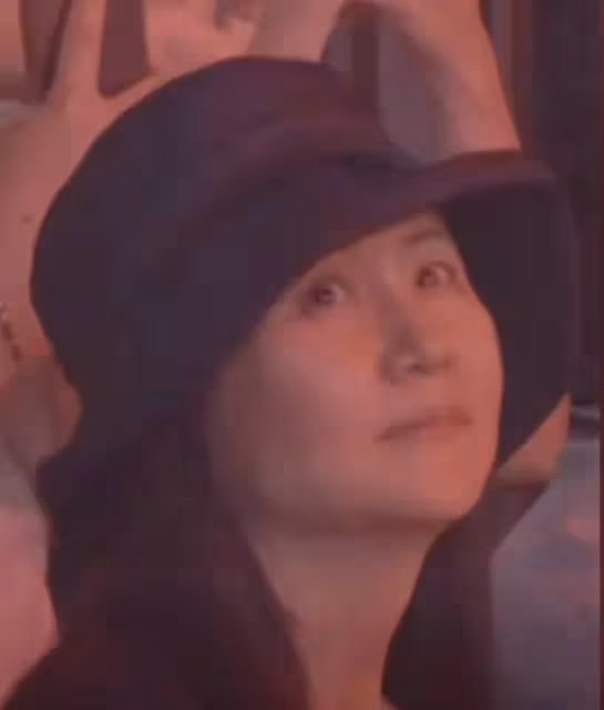 華為「長公主」孟晚舟現身劉德華演唱會,網友:華仔和華為很配!