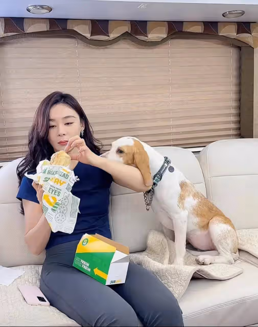 袁姍姍領養實驗犬卻被嘲學霍思燕,這一次網友終於為袁姍姍發聲了