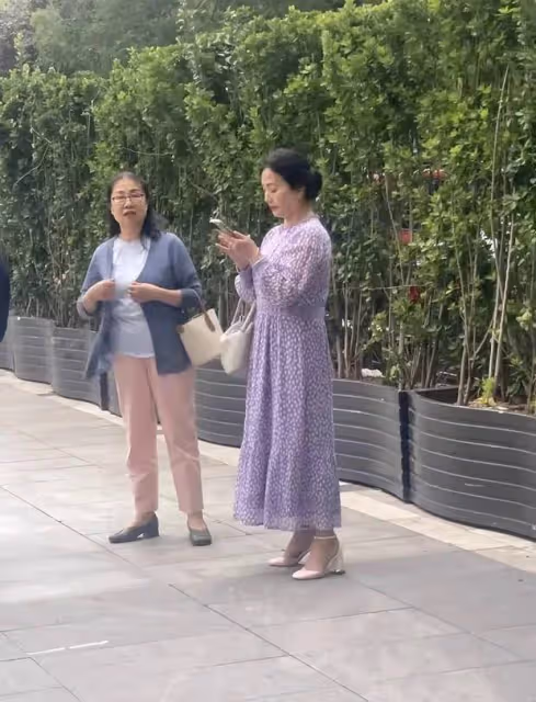 偶遇劉亦菲65歲「凍齡」母親,紫裙飄逸盡顯年輕態,網友:歲月不敗美人!
