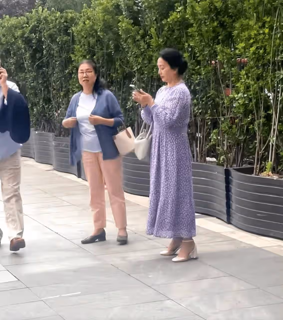 偶遇劉亦菲65歲「凍齡」母親,紫裙飄逸盡顯年輕態,網友:歲月不敗美人!