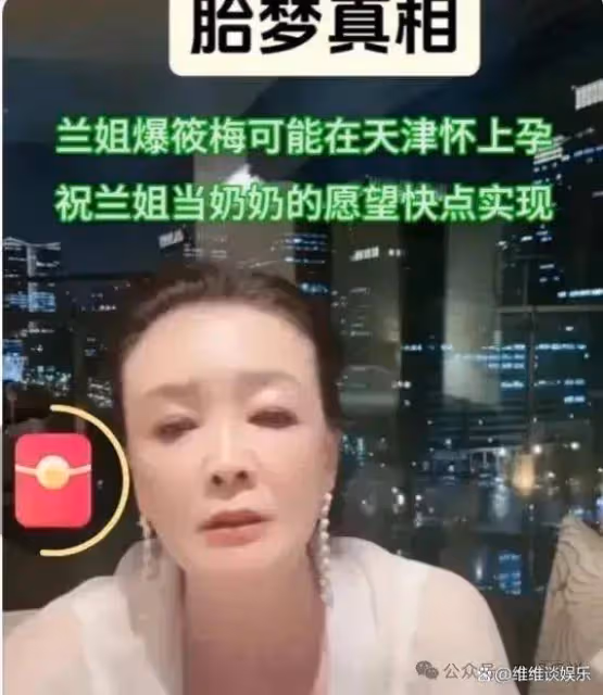大S看到小梅要生孩子,想把孩子送回北京,她擔心箖兒地位不保