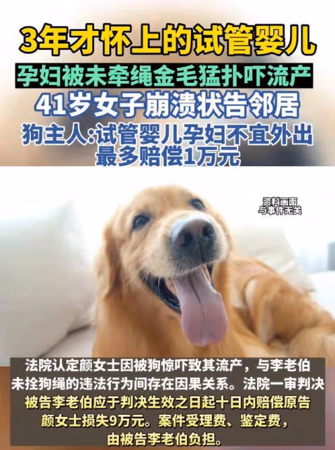 上海一鄰居遛狗不牽繩,讓懷孕4月的女子流產,女生:賠9萬!