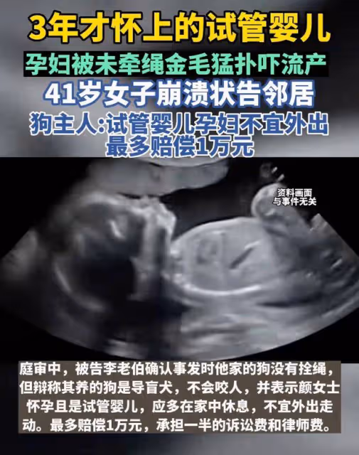 上海一鄰居遛狗不牽繩,讓懷孕4月的女子流產,女生:賠9萬!