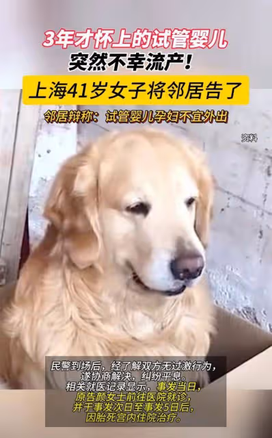 上海一鄰居遛狗不牽繩,讓懷孕4月的女子流產,女生:賠9萬!