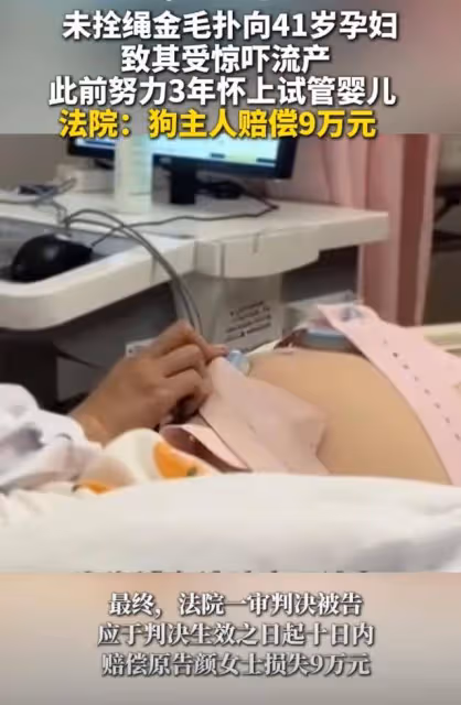 上海一鄰居遛狗不牽繩,讓懷孕4月的女子流產,女生:賠9萬!
