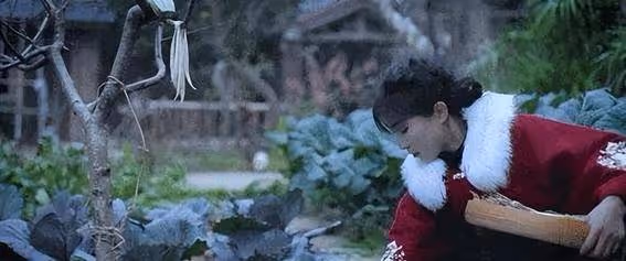 李子柒停更兩年後首次露面,少女變大媽網友直呼不敢認連她也淪為資本的犧牲品