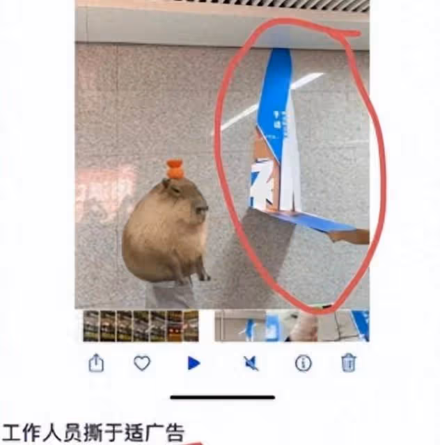 突發!於適作品遭央視刪除,海報撤換,他會成為下一個肖戰嗎?