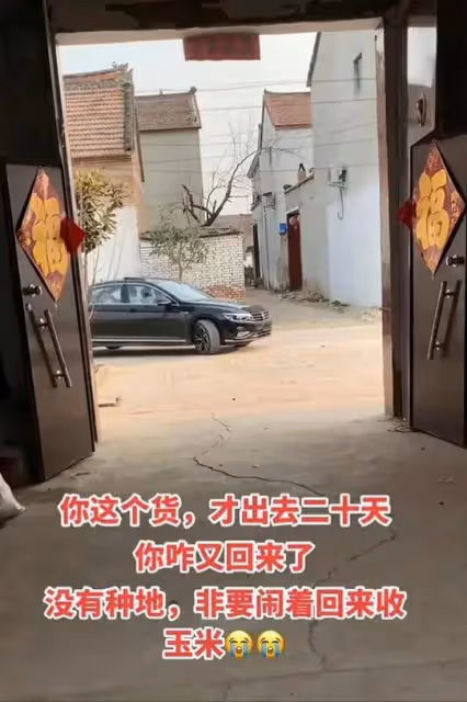 河南男子無心打工,出門不到20天就回家,看到他妻子,網友秒懂了