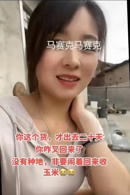 河南男子無心打工,出門不到20天就回家,看到他妻子,網友秒懂了