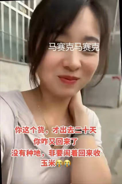 河南男子無心打工,出門不到20天就回家,看到他妻子,網友秒懂了