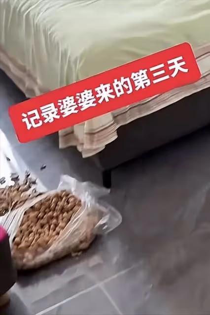 河南大媽來兒子家享福,待了4天就捲舖蓋回家:兒媳婦看不慣我
