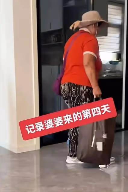 河南大媽來兒子家享福,待了4天就捲舖蓋回家:兒媳婦看不慣我