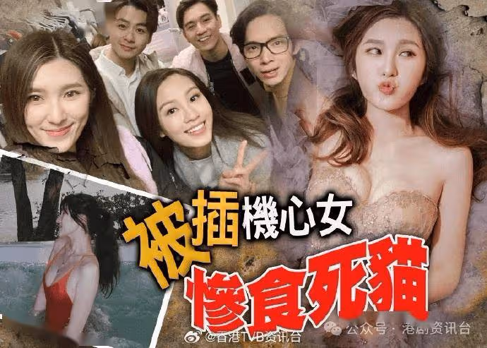 鞏姿希做《愛.回家》御用翻譯機 精通5國語言全TVB最叻