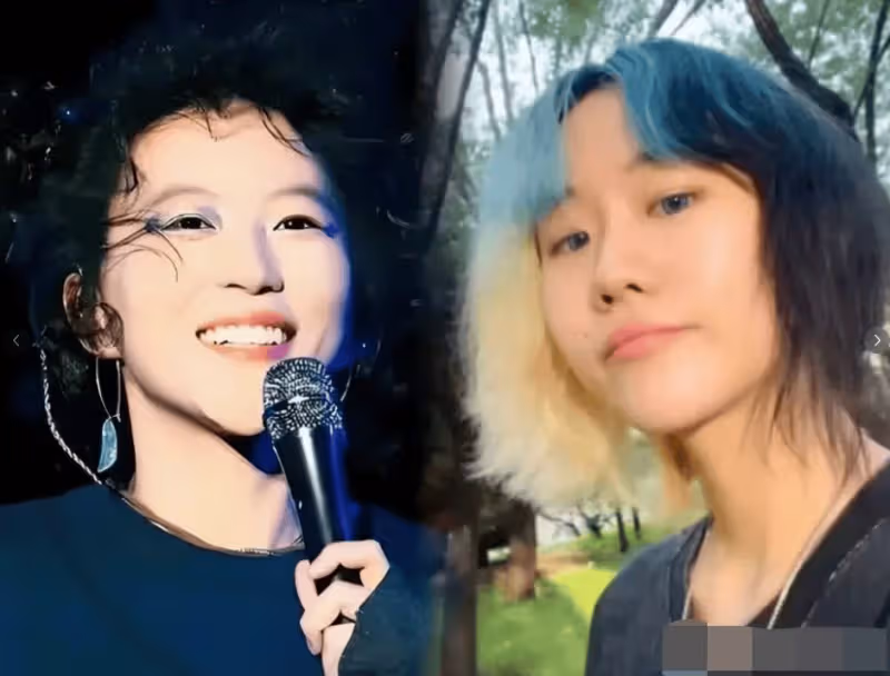 同是竇唯的DNA,把王菲女兒和高原女兒放一起對比,差距就很明顯