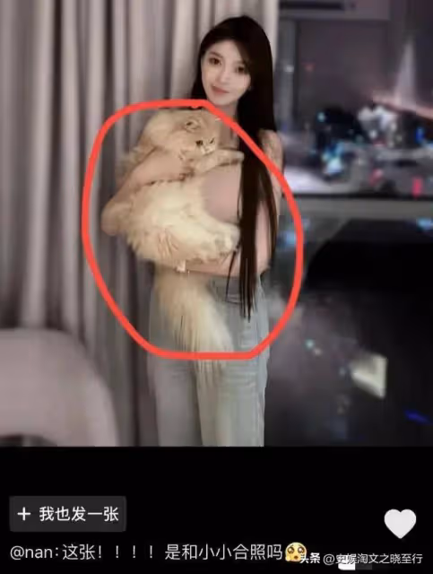 大瓜!曝黃曉明葉珂已結婚,女方秀超大鑽戒,女方曬針圖疑已懷孕