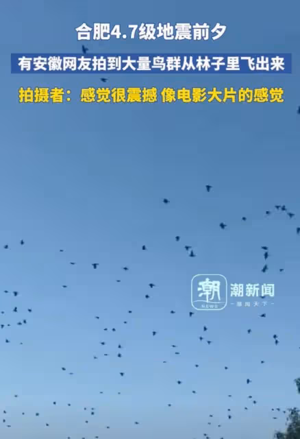 安徽地震:媽媽抱著兒子往外跑,全然不顧旁邊的女兒:我忘了