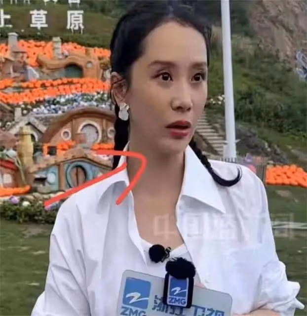 46歲海清疑似整容過度！面部表情僵硬跟劉曉慶神似？