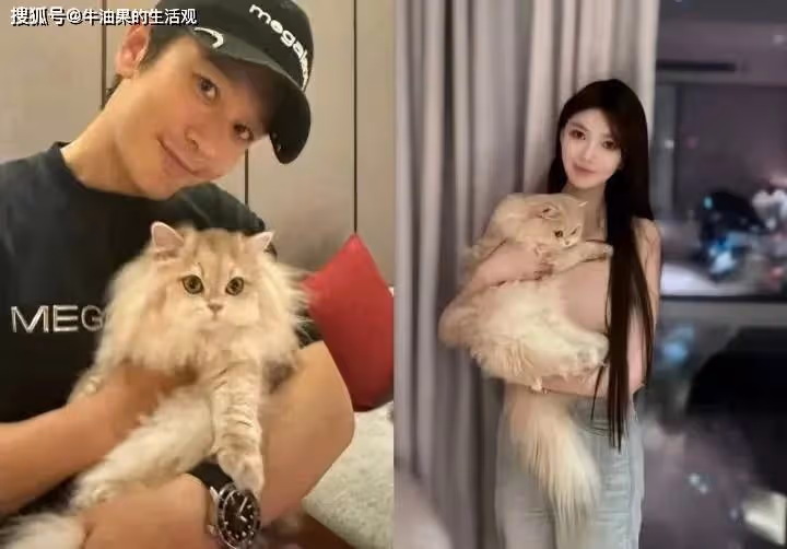 黃曉明要再當爹了!葉珂被曝已懷孕,更多戀愛甜蜜細節曝光