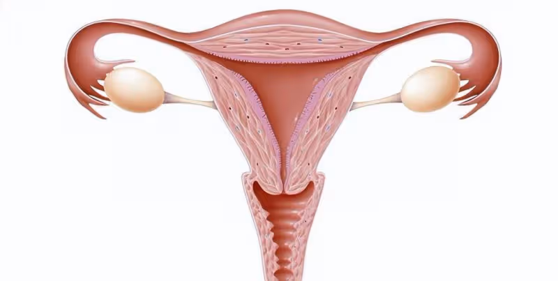 精子進入女人體內,除了「受精」的那顆外,剩下的都去了哪裡呢?