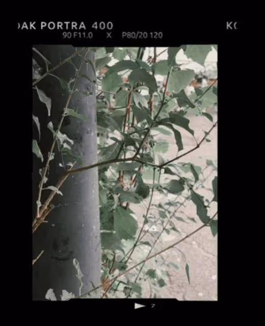 一路走好!香港男星夫婦雙雙病亡!追思會爾冬升尹天照致花牌悼念