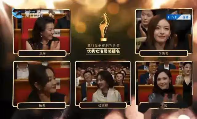 飛天獎落選風波:演技與流量的碰撞,劉琳揭開娛樂圈真相