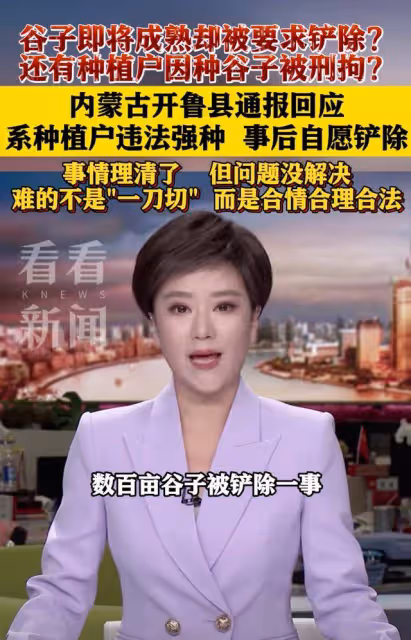 後續來了!官媒發聲闢謠:種植戶自願剷除稻穀!評論區卻淪陷了