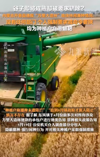 後續來了!官媒發聲闢謠:種植戶自願剷除稻穀!評論區卻淪陷了