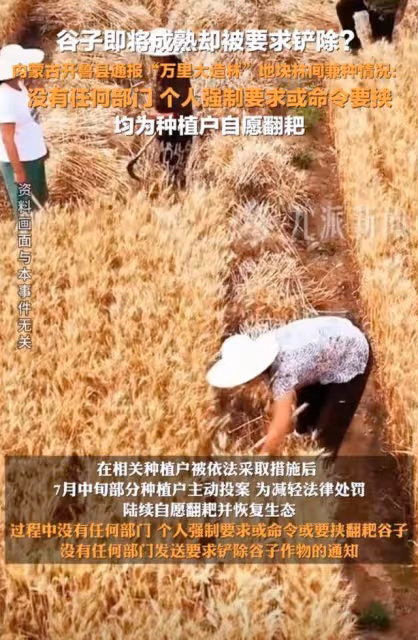 後續來了!官媒發聲闢謠:種植戶自願剷除稻穀!評論區卻淪陷了